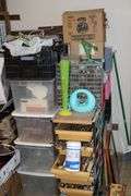 Live Auction Pat’s Bandits Wildlife Rehab Benefit Sunday August 3rd 10am