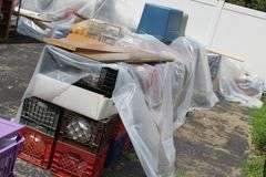 Live Auction Pat’s Bandits Wildlife Rehab Benefit Sunday August 3rd 10am