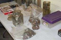 Live Auction Pat’s Bandits Wildlife Rehab Benefit Saturday July 26th 10am