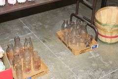Live Auction Pat’s Bandits Wildlife Rehab Benefit Saturday July 26th 10am