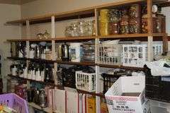 Live Auction Pat’s Bandits Wildlife Rehab Benefit Sunday August 3rd 10am