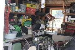 Live Auction Pat’s Bandits Wildlife Rehab Benefit Sunday August 3rd 10am