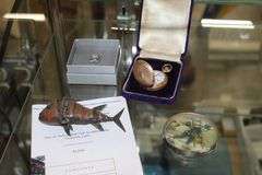 Live Auction Pat’s Bandits Wildlife Rehab Benefit Saturday July 26th 10am
