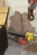 Live Auction Pat’s Bandits Wildlife Rehab Benefit Saturday July 26th 10am
