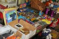 Live Auction Pat’s Bandits Wildlife Rehab Benefit Saturday July 26th 10am