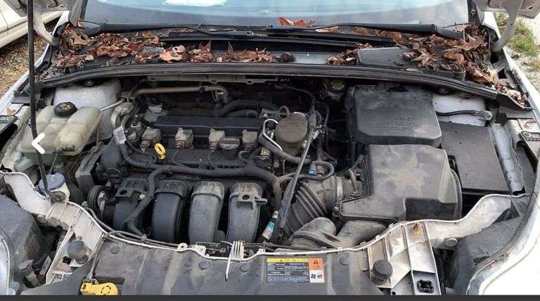 2013 FORD  FOCUS