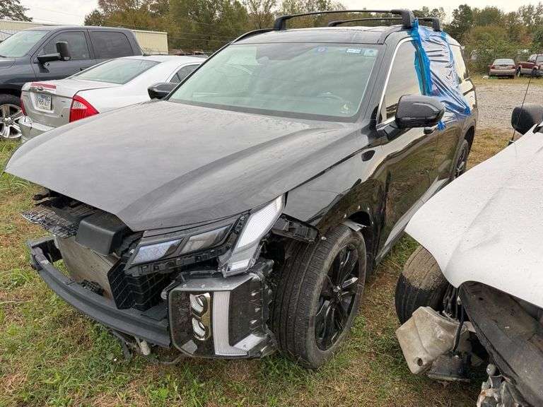 2024 HYUNDAI PALISADE