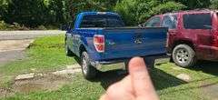 2010 FORD  F-150