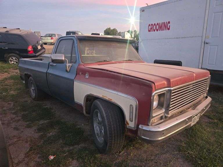 1979 CHEVROLET  TRUCK