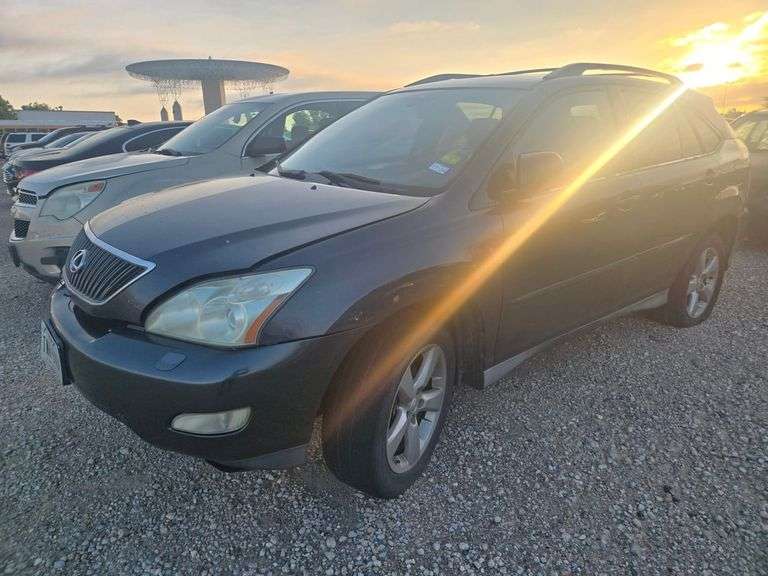 2007 LEXUS  RX