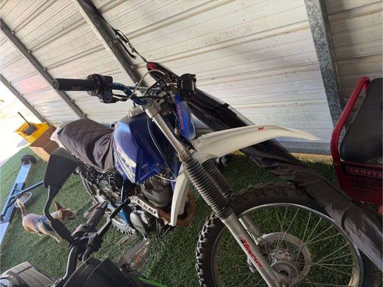 1998 YAMAHA  TTR 225