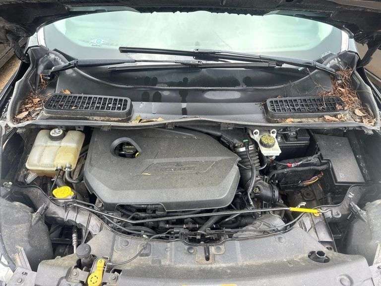 2014 FORD  ESCAPE