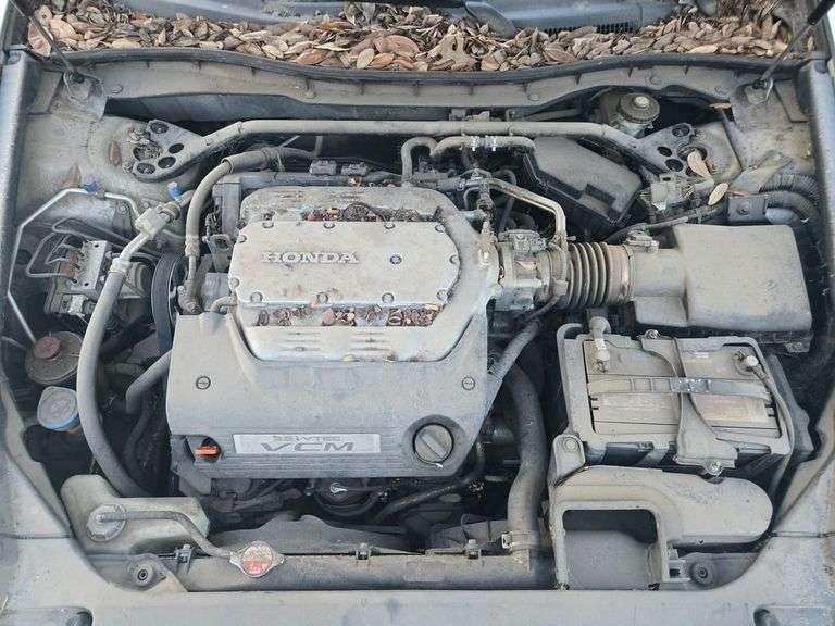 2011 HONDA  ACCORD