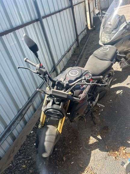 2025 FENGYUAN  RIDER