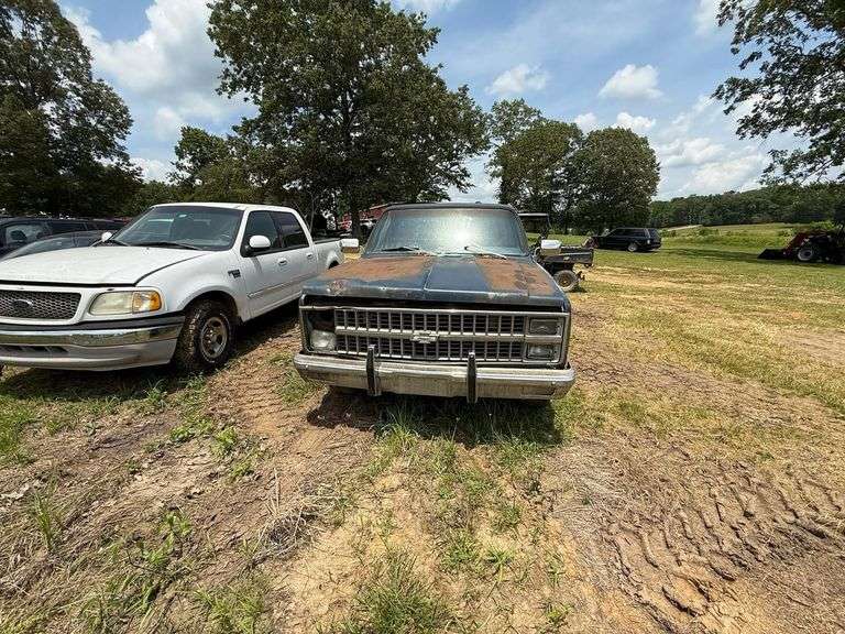 1982 CHEVROLET  C/K PICKUP