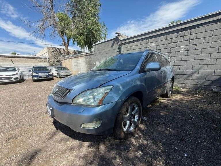 2007 LEXUS  RX