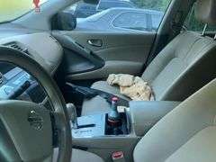 2009 NISSAN  MURANO