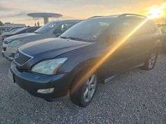 2007 LEXUS  RX