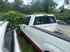 COURT ORDER-2009 FORD  F-150