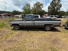 1982 CHEVROLET  C/K PICKUP
