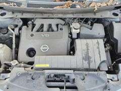 2010 NISSAN  MURANO