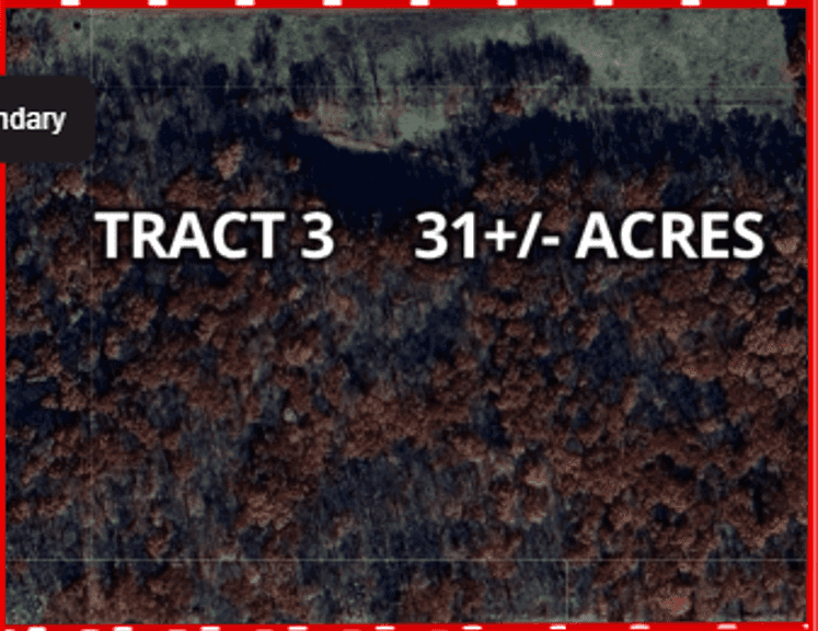 31± acres; largely timbered recreational/hunting tract w/ideal food plot on its north side.