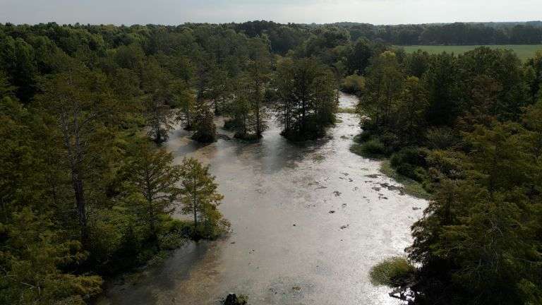 201 OLD STATE ROAD 104, TRENTON | GIBSON COUNTY, TN 90