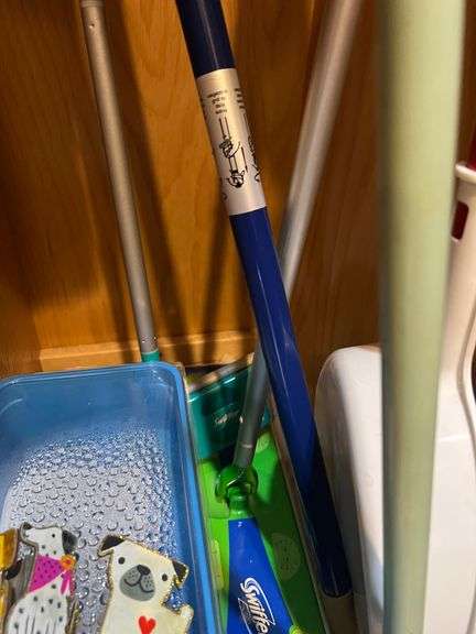 Contents of Kitchen Cabinet - Cleaning Supplies