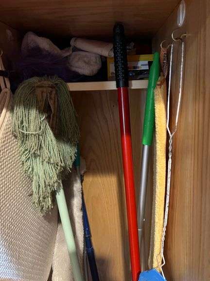 Contents of Kitchen Cabinet - Cleaning Supplies