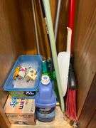 Contents of Kitchen Cabinet - Cleaning Supplies