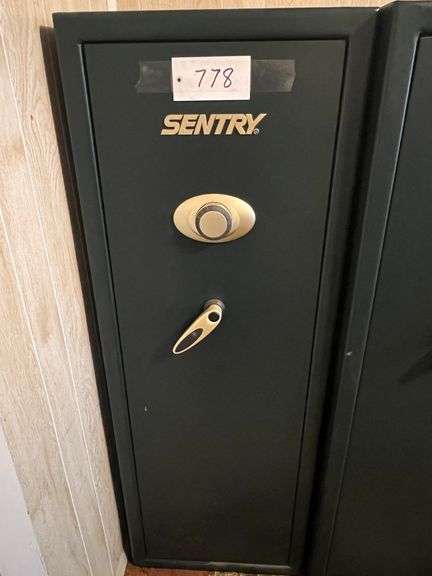 Sentry Gun Safe