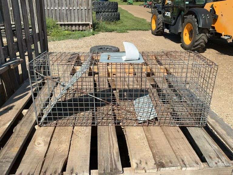 Live Box Trap