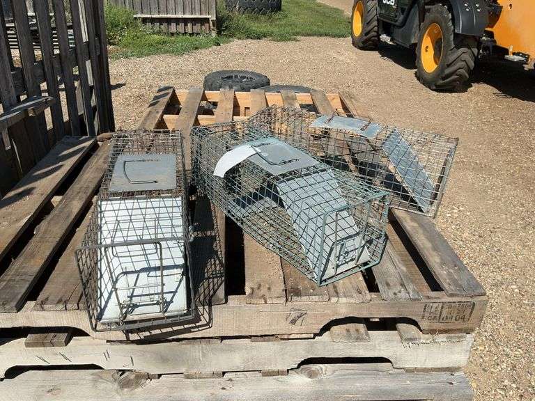 (3) Small Live Traps