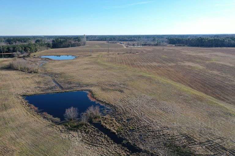 Tract 3 - 33 Acres