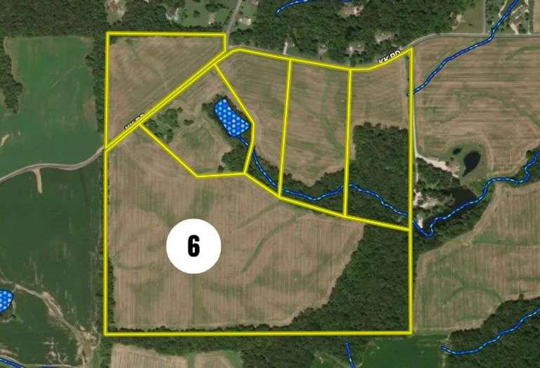 Tract 6 - 80.4 ± Acres