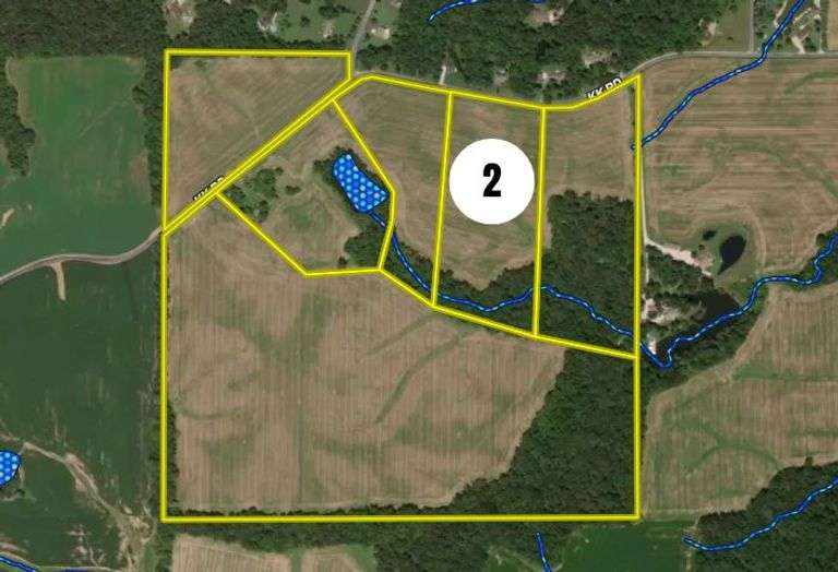 Tract 2 - 17.2 ± Acres