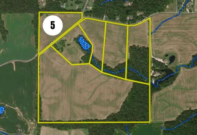 Tract 5 - 13.9 ± Acres