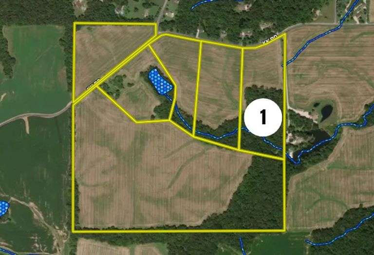 Tract 1 - 17.0 ± acres