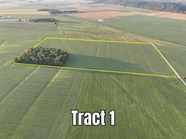 Tract 1: 80 ± Acres -West Side of Steffen Road