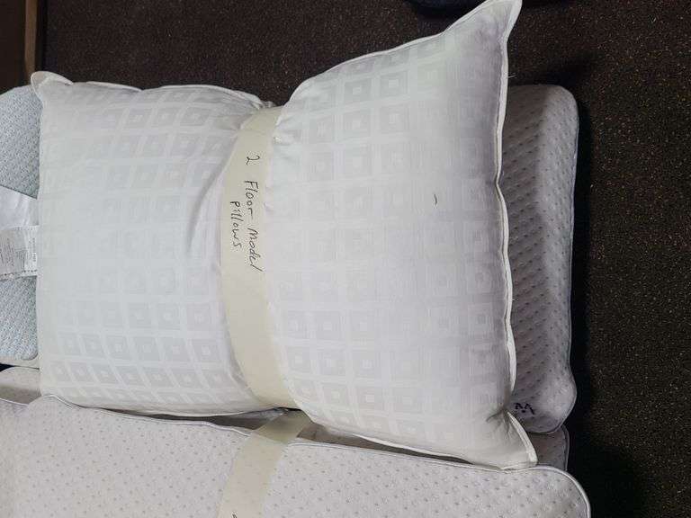 2) Pillows (Floor Model)