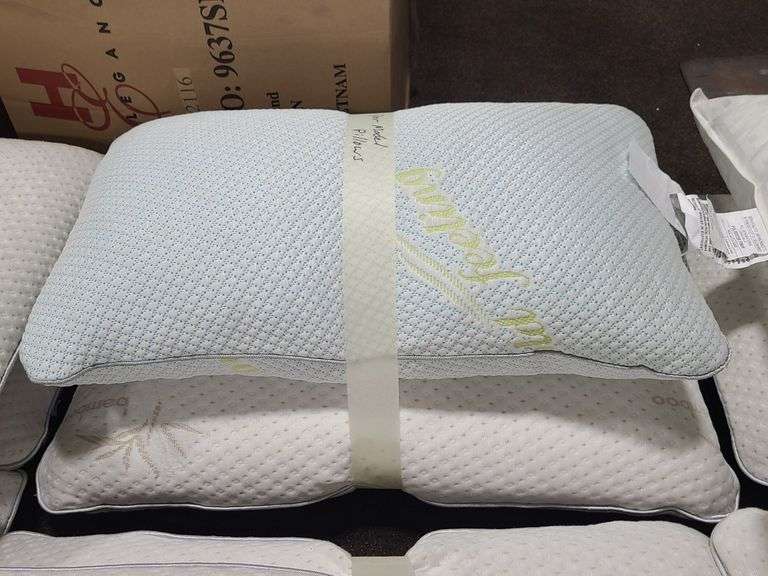 2) Pillows (Floor Model)