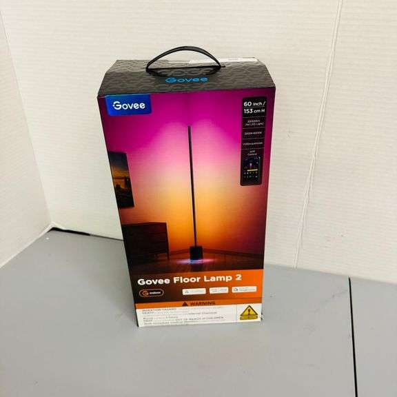 1) Govee Floor Lamp 2