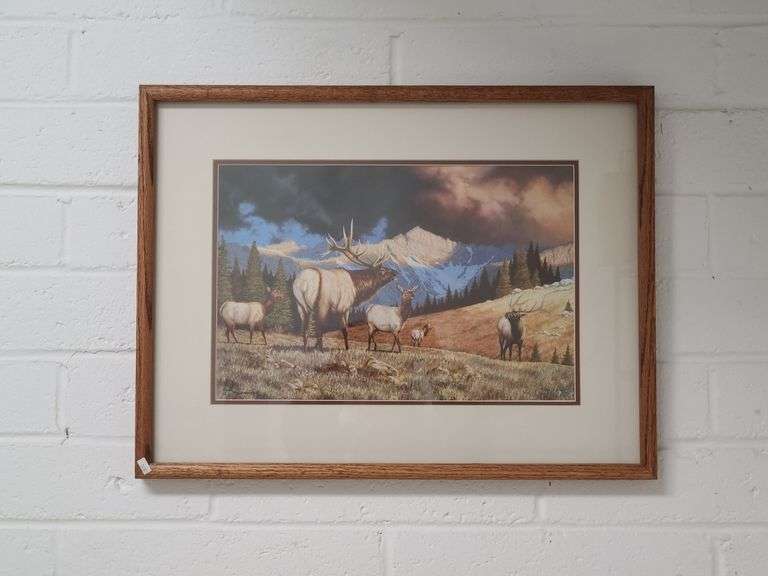 Bull Elk Picture