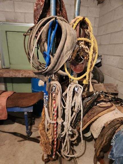Western Horse Tack Hanging Rack with Assorted Ropes and Supplies