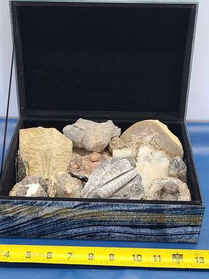Box with Stones, Geodes, Fossils