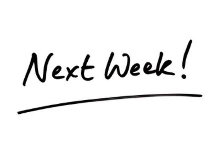 No Auction this Sunday, next week