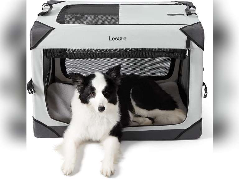 Lesure Collapsible Dog Crate - Portable Dog Travel Crate Kennel for Dog ...