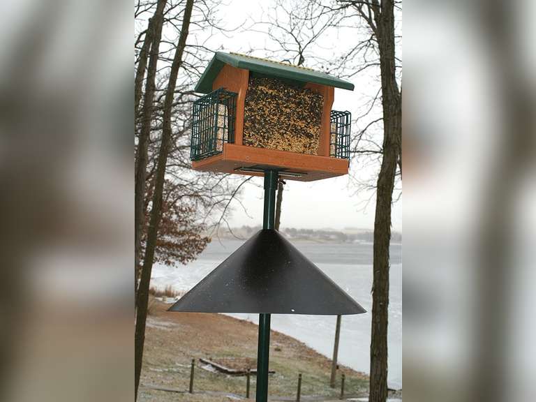Woodlink NABAF18 Audubon Wrap Around Squirrel Baffle, 18-Inch - Black 18 Inch Black 22.99