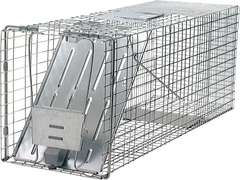 Havahart 1079SR Large 1-Door Humane Catch and Release Live Animal Trap for Raccoons, Cats, Bobcats, Beavers, Small Dogs, Groundhogs, Opossums, Foxes, Armadillos, and Similar-Sized Animals 66.99