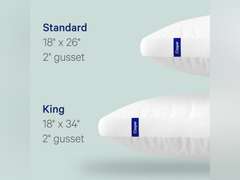 Casper Sleep Original Pillow for Sleeping, Standard, White Standard Single Pack 52